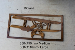 biplane