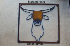 braham head