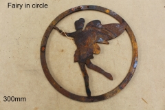 fairy circle