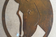 horse oval