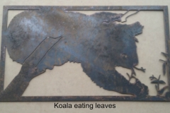 koala eating leaves