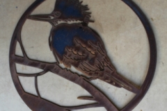 kookaburra in circle