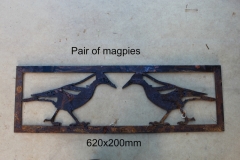 pair of magpies