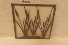 reeds