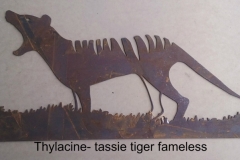 tassie tiger