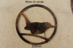 wren in circle