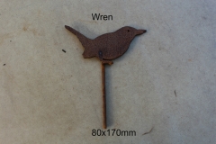 Wren on stick