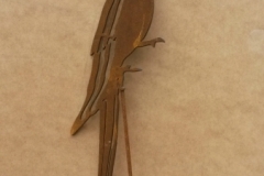 cockatoo on stick