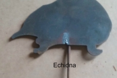 echidna