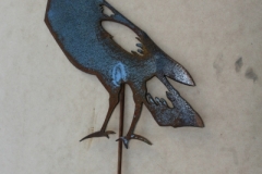magpie looking back stick