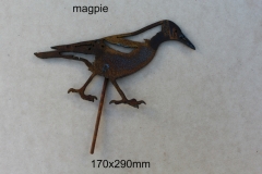 magpie on stick