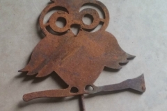 owl on twig