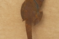 seahorse on stick